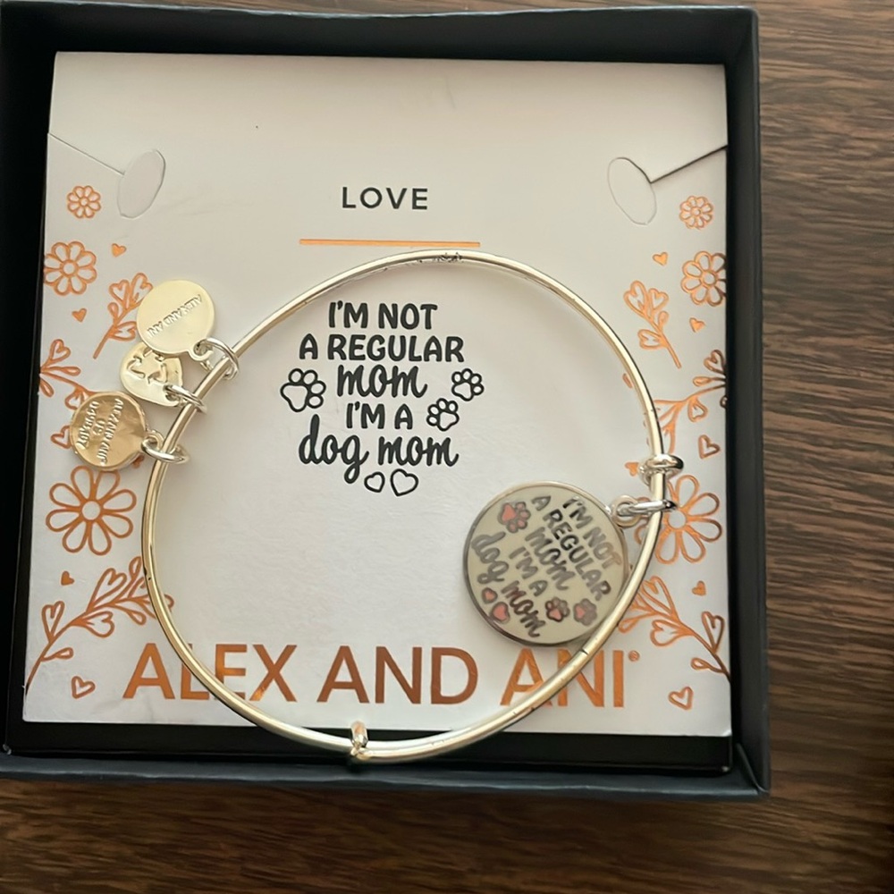 ALEX AND ANI bracelet